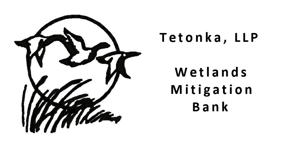 Tetonka Logo